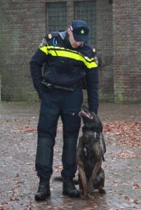 diensthond caïro en zijn opvolger teun